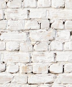 Whitewashed Bricks
