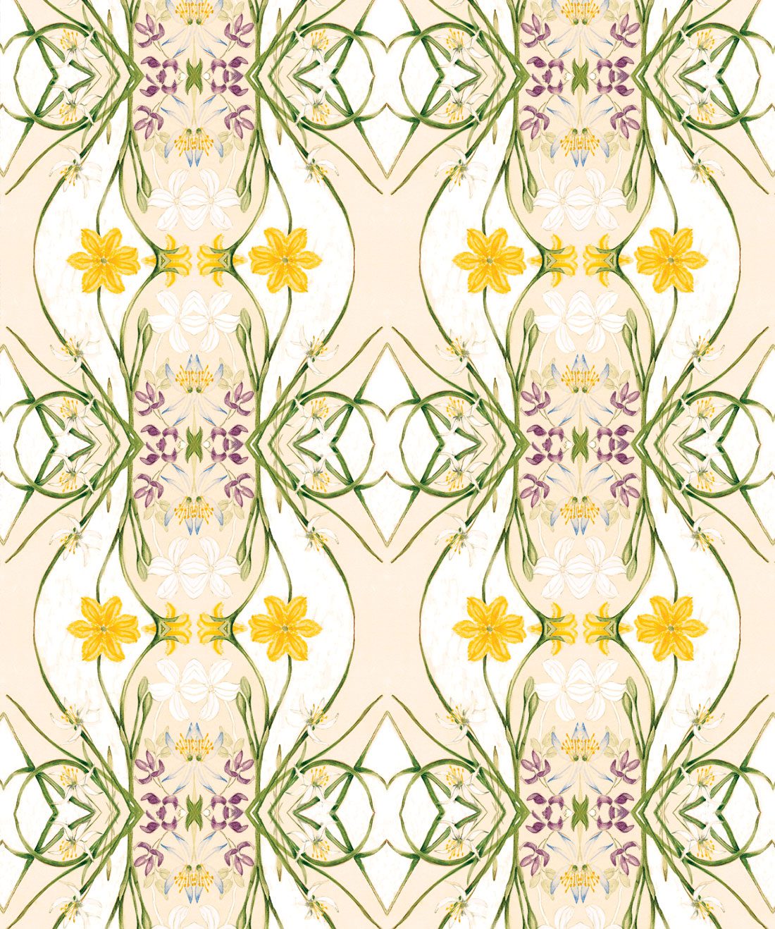 Euphemia 1