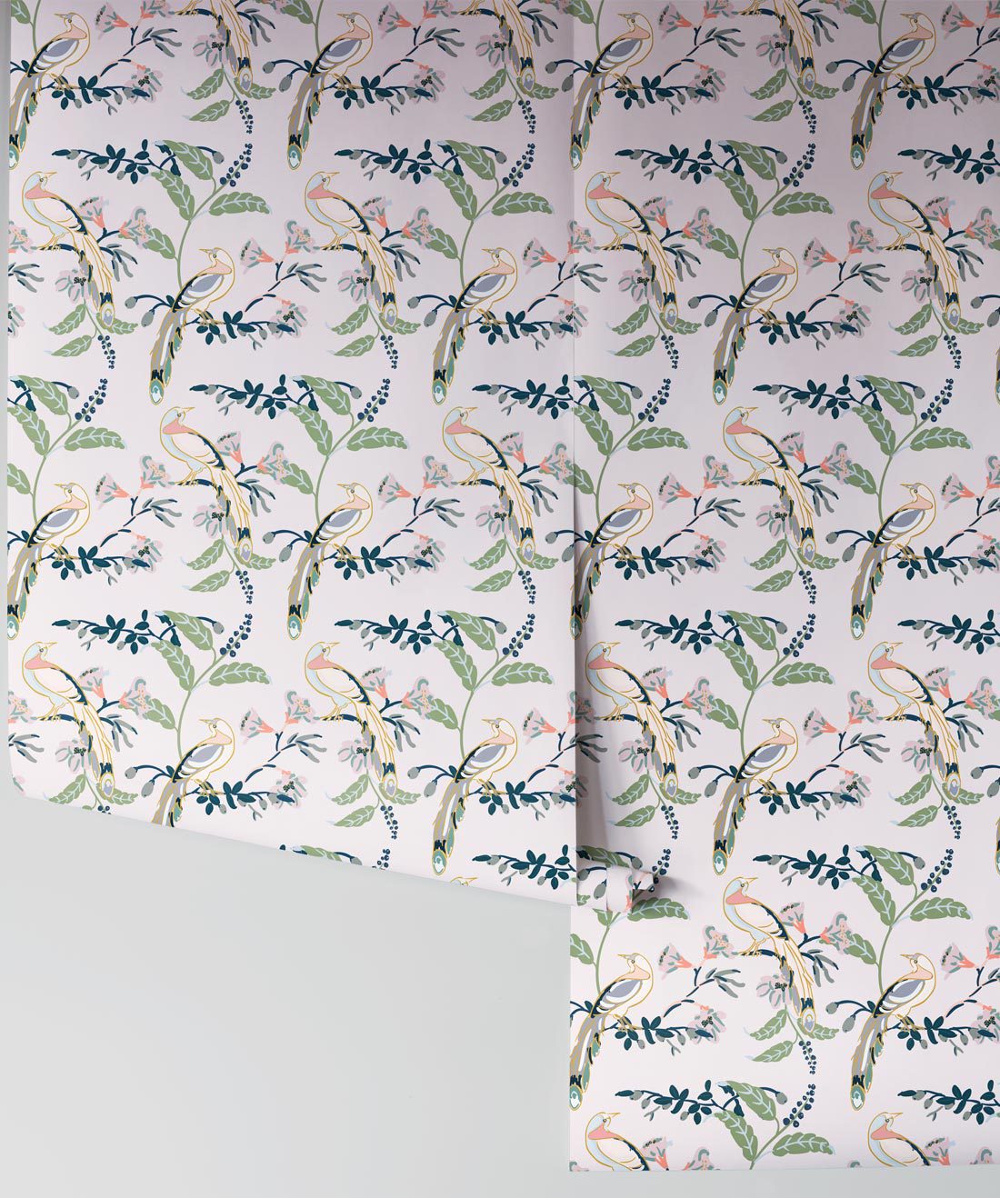 Birds of Paradise Wallpaper