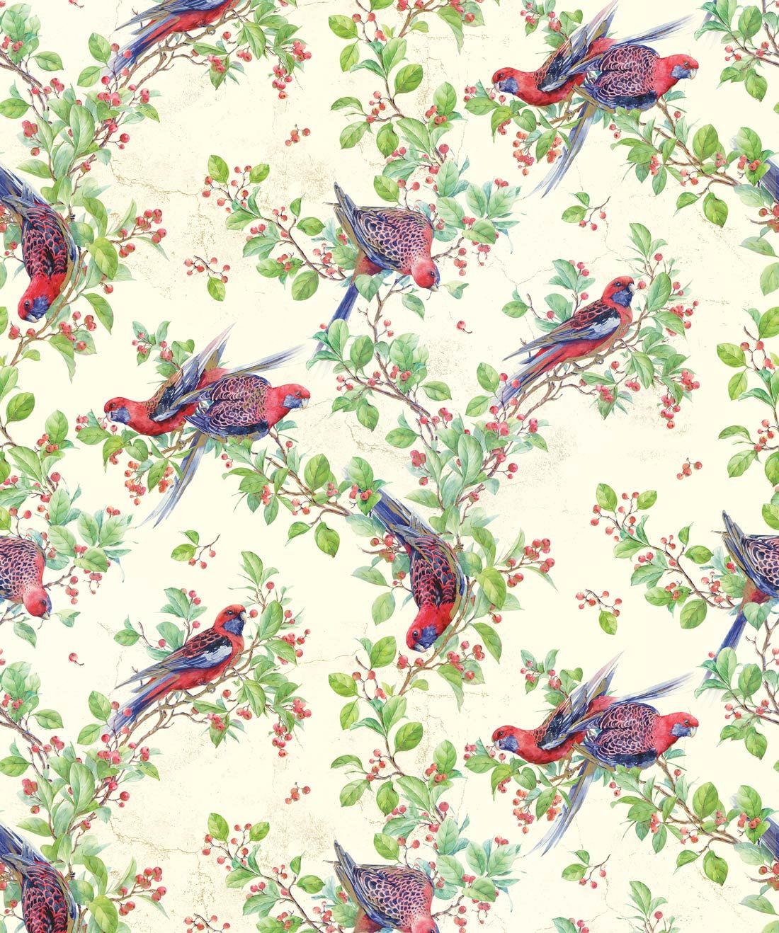 crimson rosella is a painterly bird wallpaper