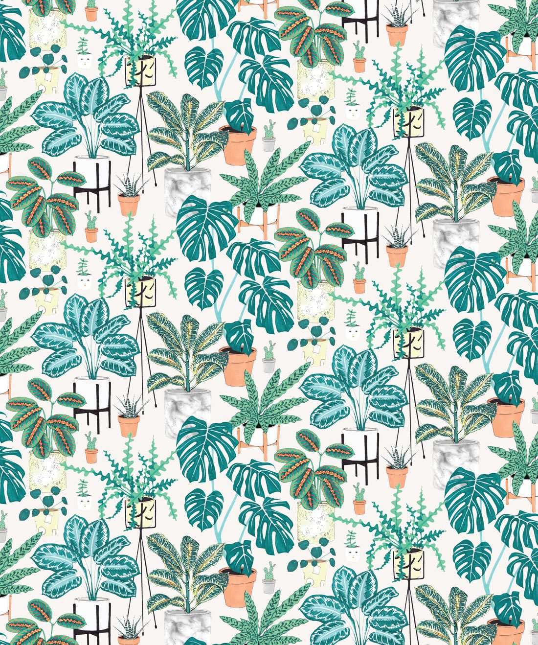 House Plants Wallpaper