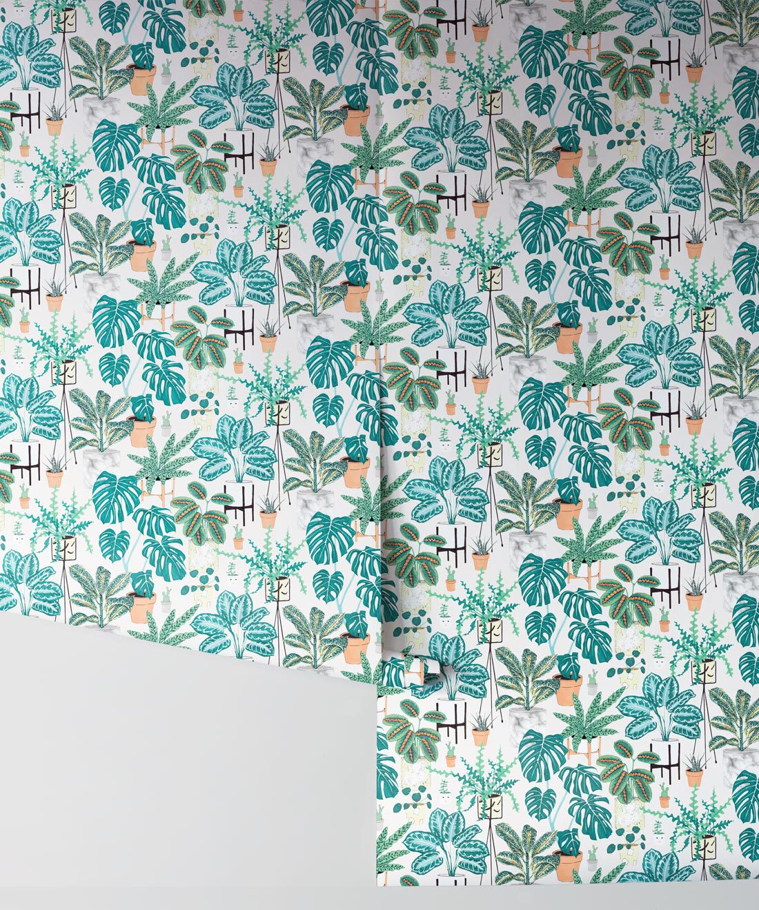 House Plants Wallpaper