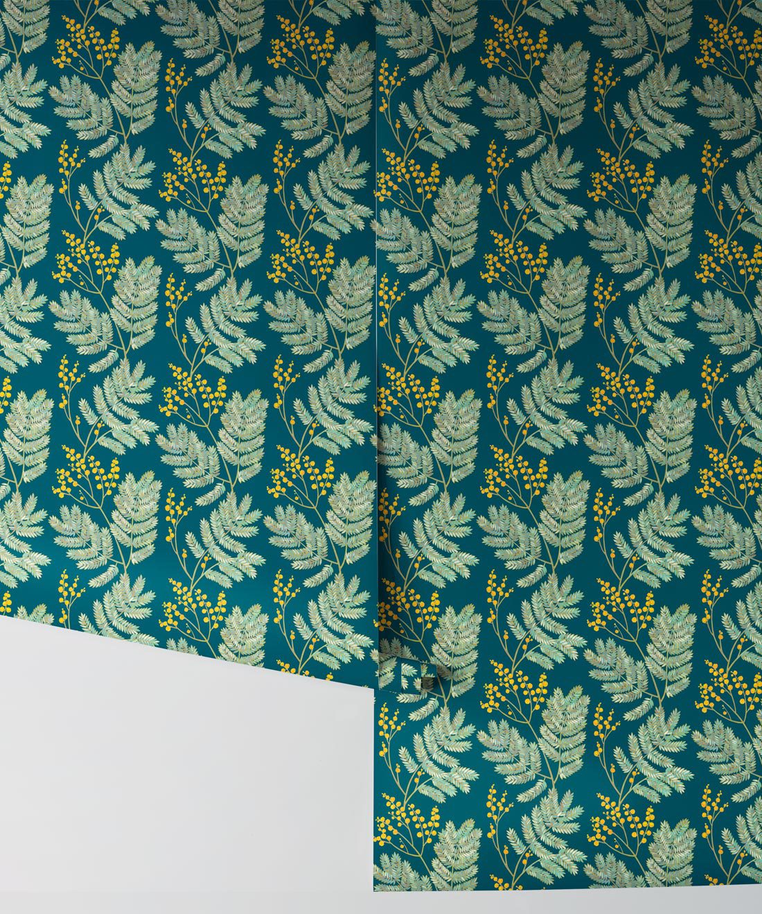 Mimosa Wattle Green