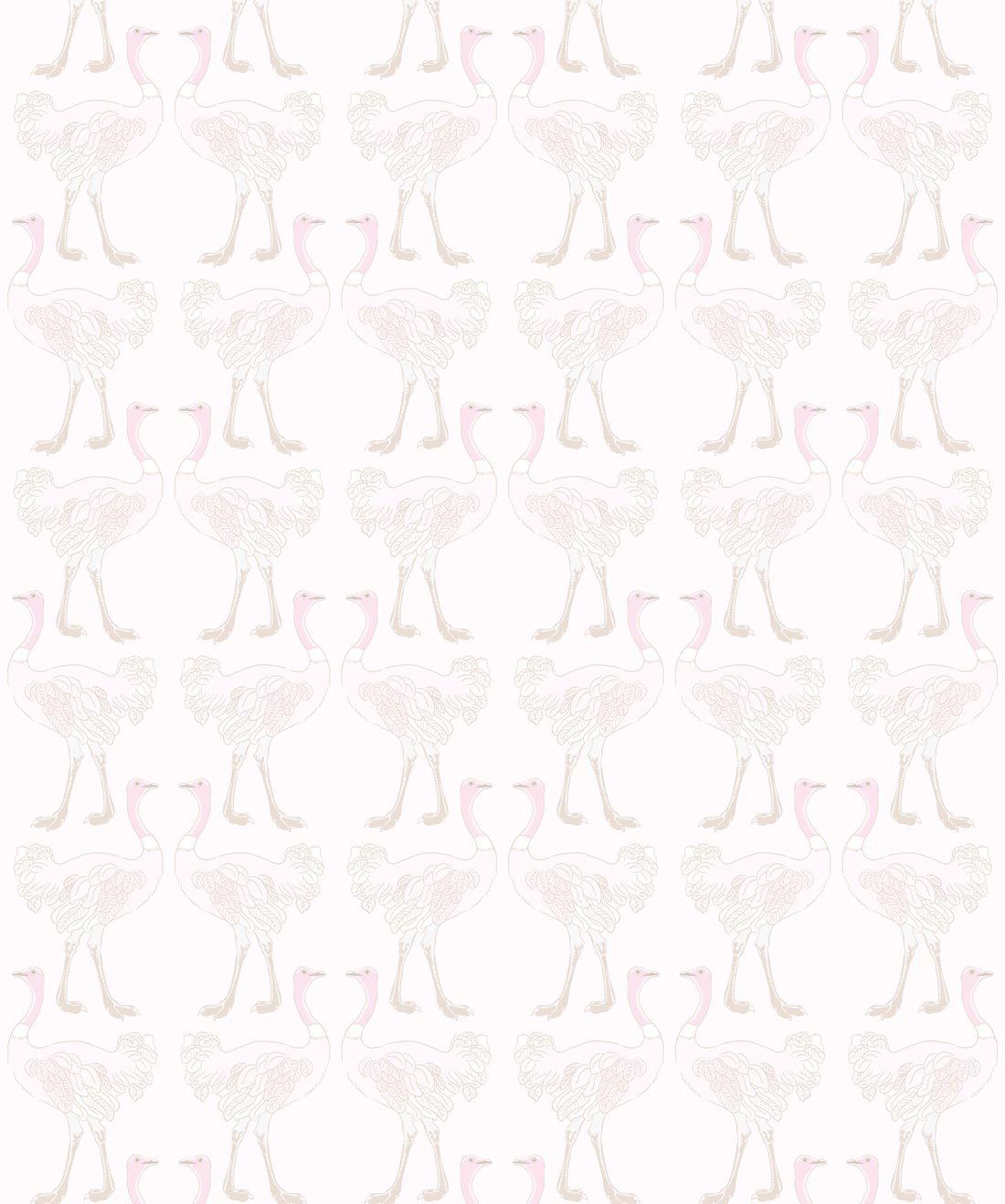 Ostrich Strut Blushing Pink