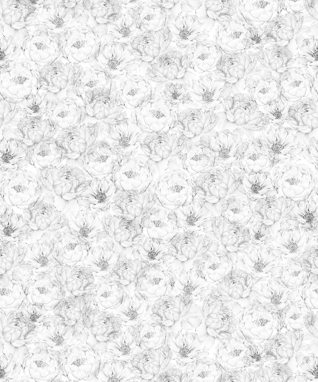 Peonies & Anemones • White Floral Wallpaper