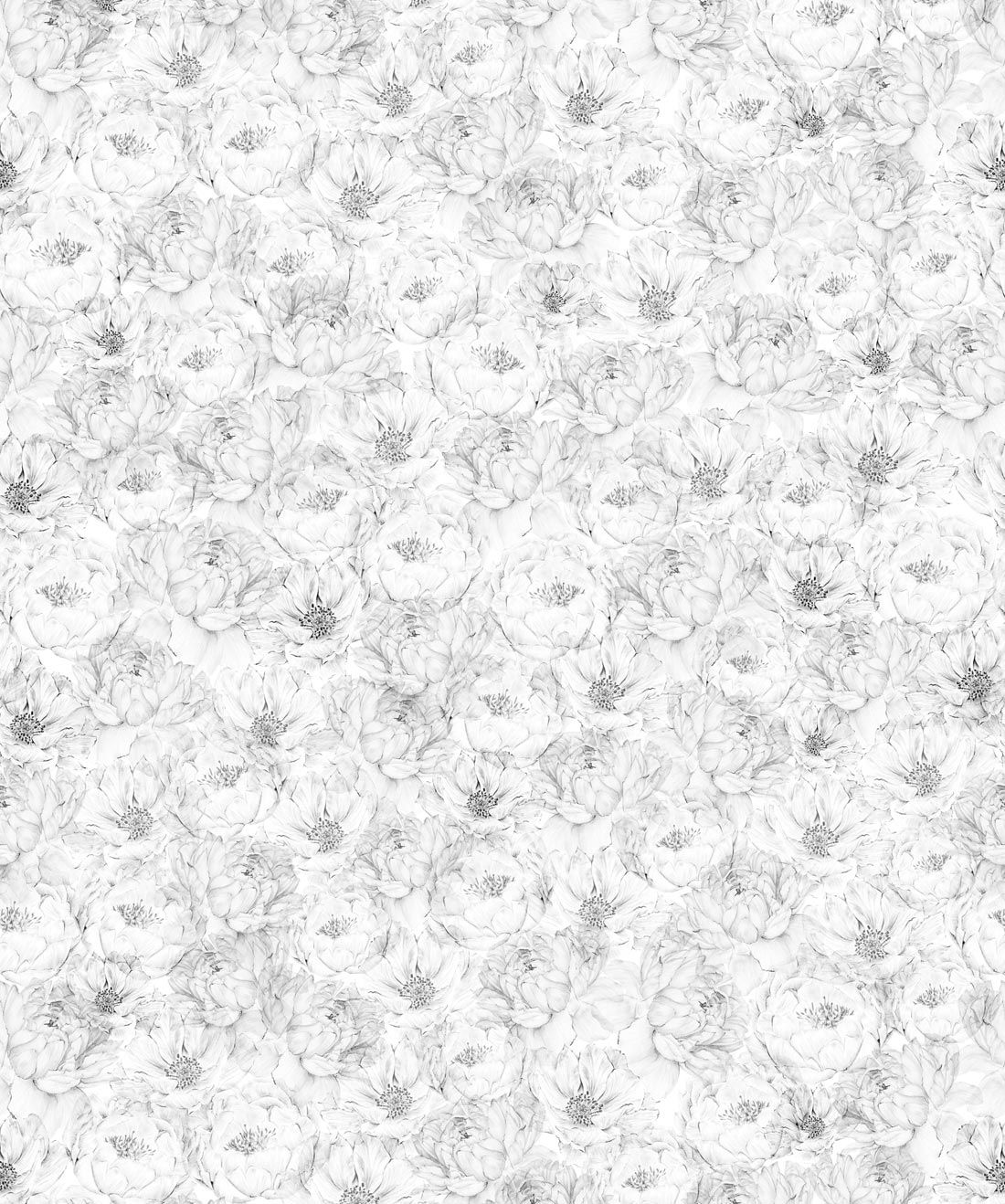 Peonies & Anemones • White Floral Wallpaper