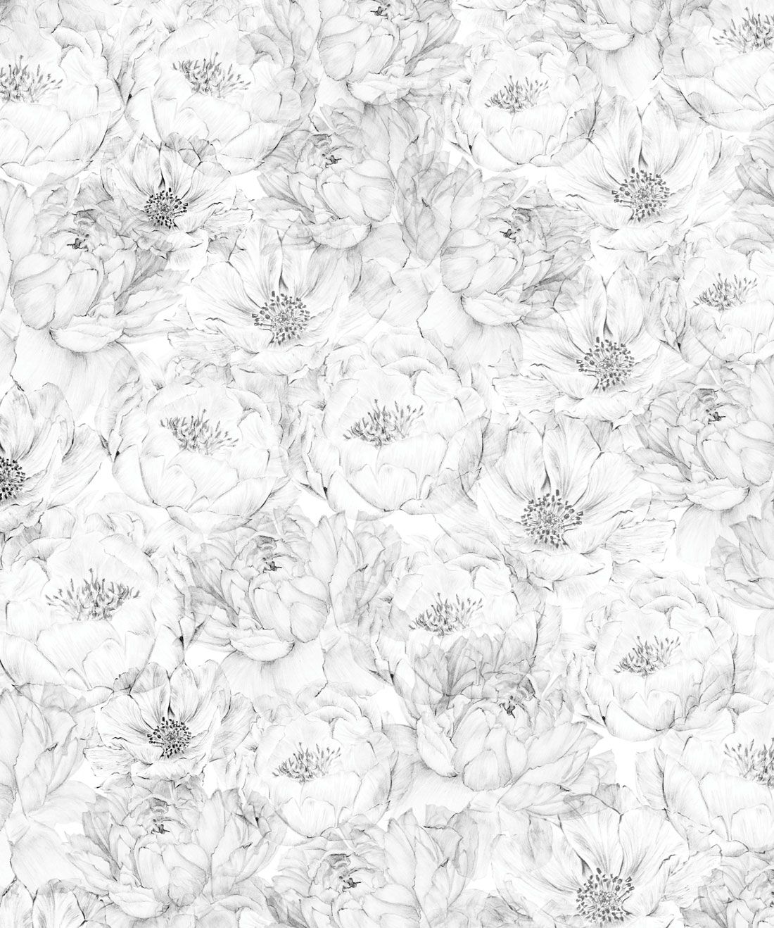 Peonies & Anemones (Large) is a neutral floral wallpaper