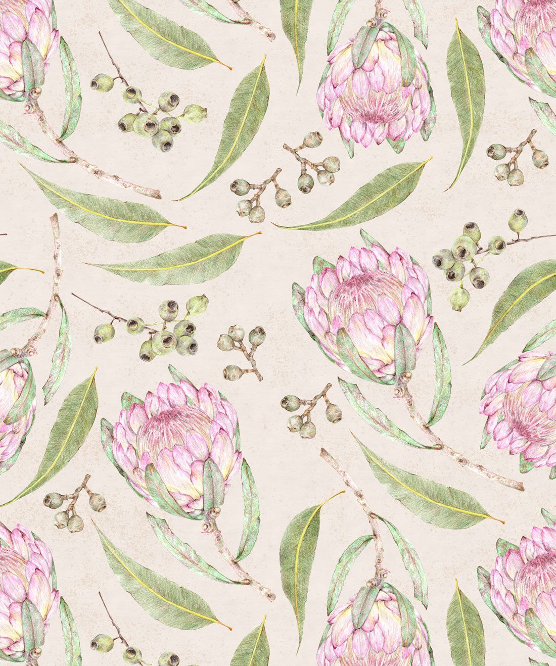 Proteas & Gumnuts is a feminine floral wallpaper