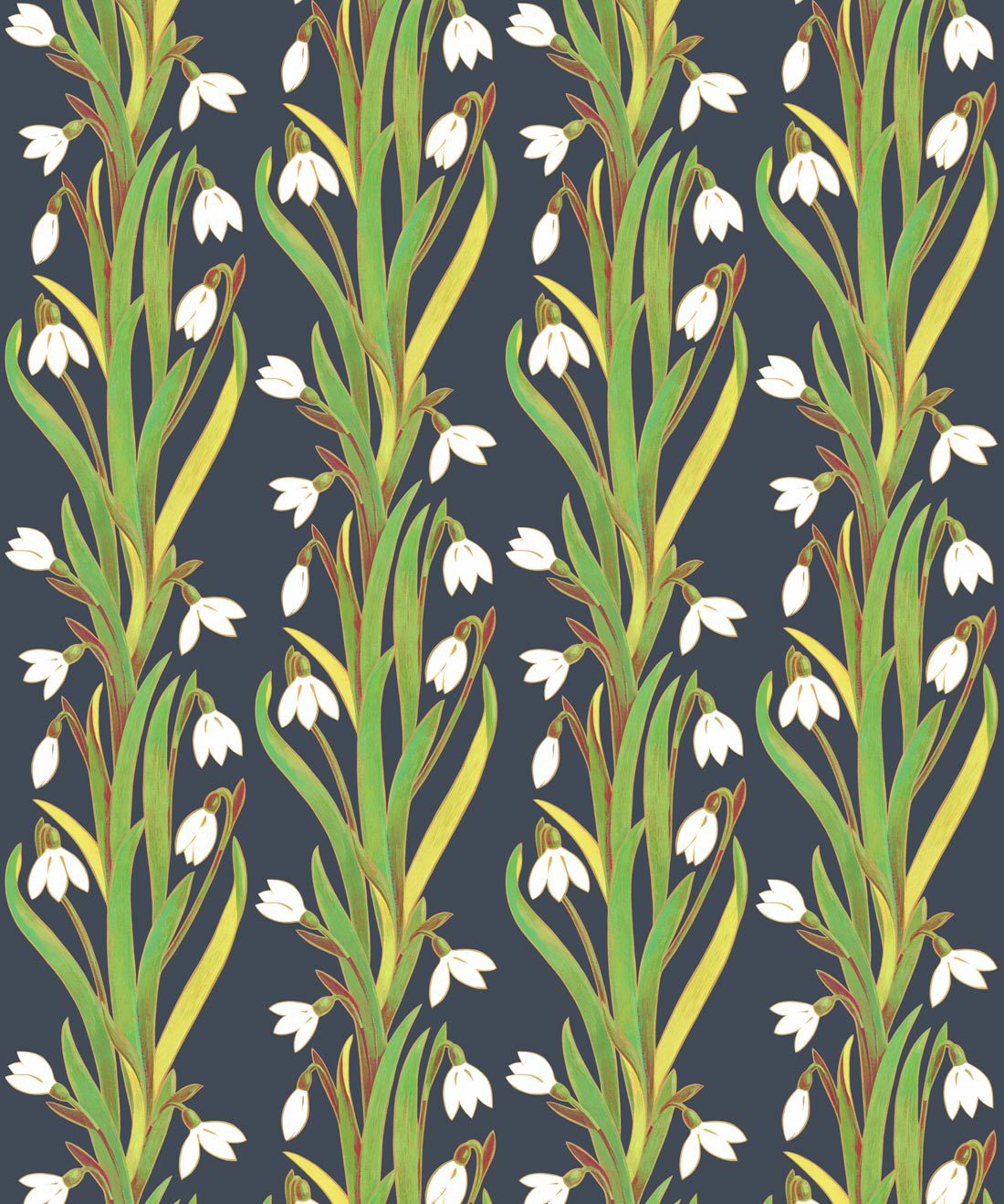 Snow Drop Pacific Spirit