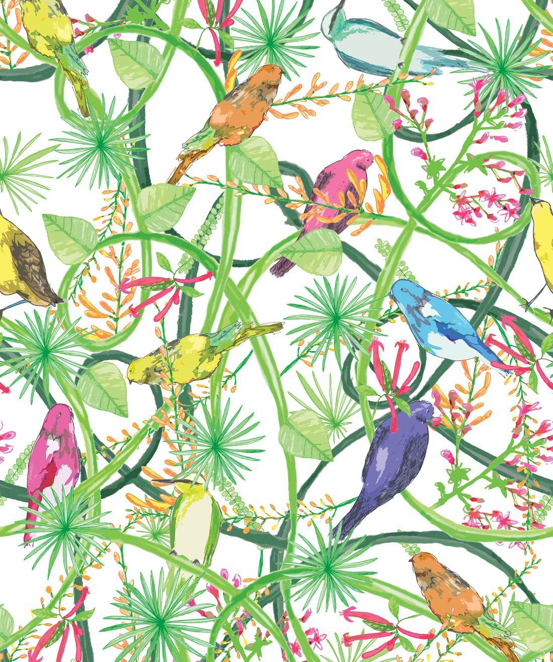 Vines in a tropical birds wallpaper