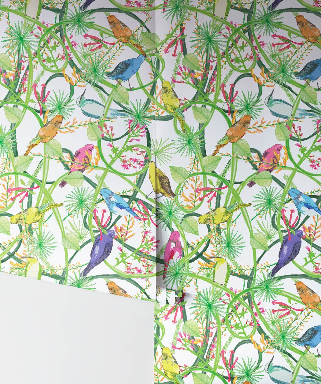 Vines, Bright Colorful Birds & Very Tropical Wallpaper • Milton & King