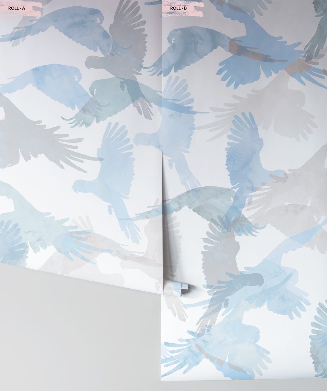 Lorikeets in Buccaneers a modern bird wallpaper