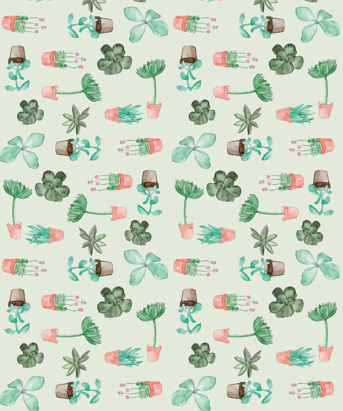 Succulents is a Potted Cactus Wallpaper