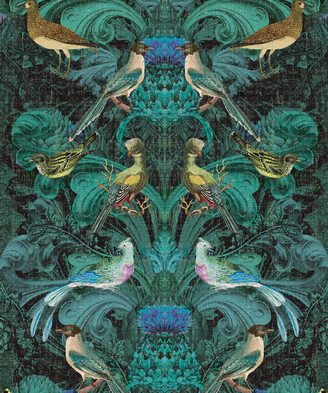 Birdlife Wallpaper