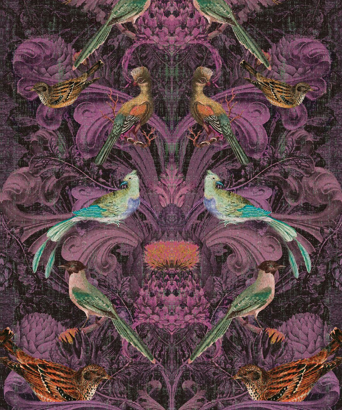Birdlife Burgundy
