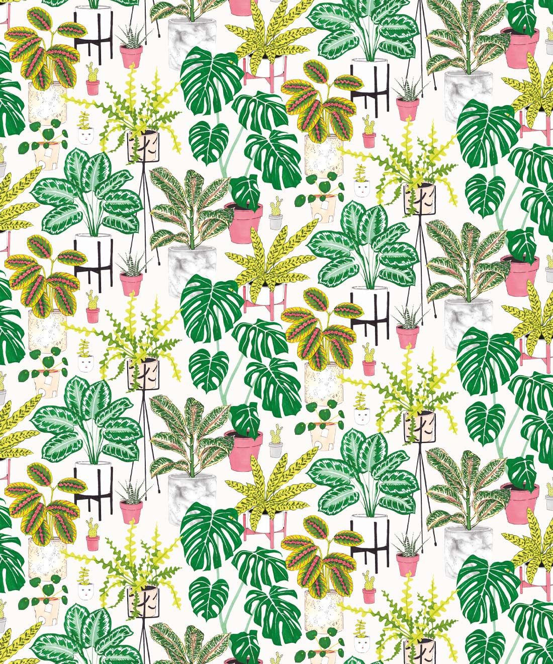 House Plants • Jacqueline Colley • Wallpaper Republic • Green • Swatch