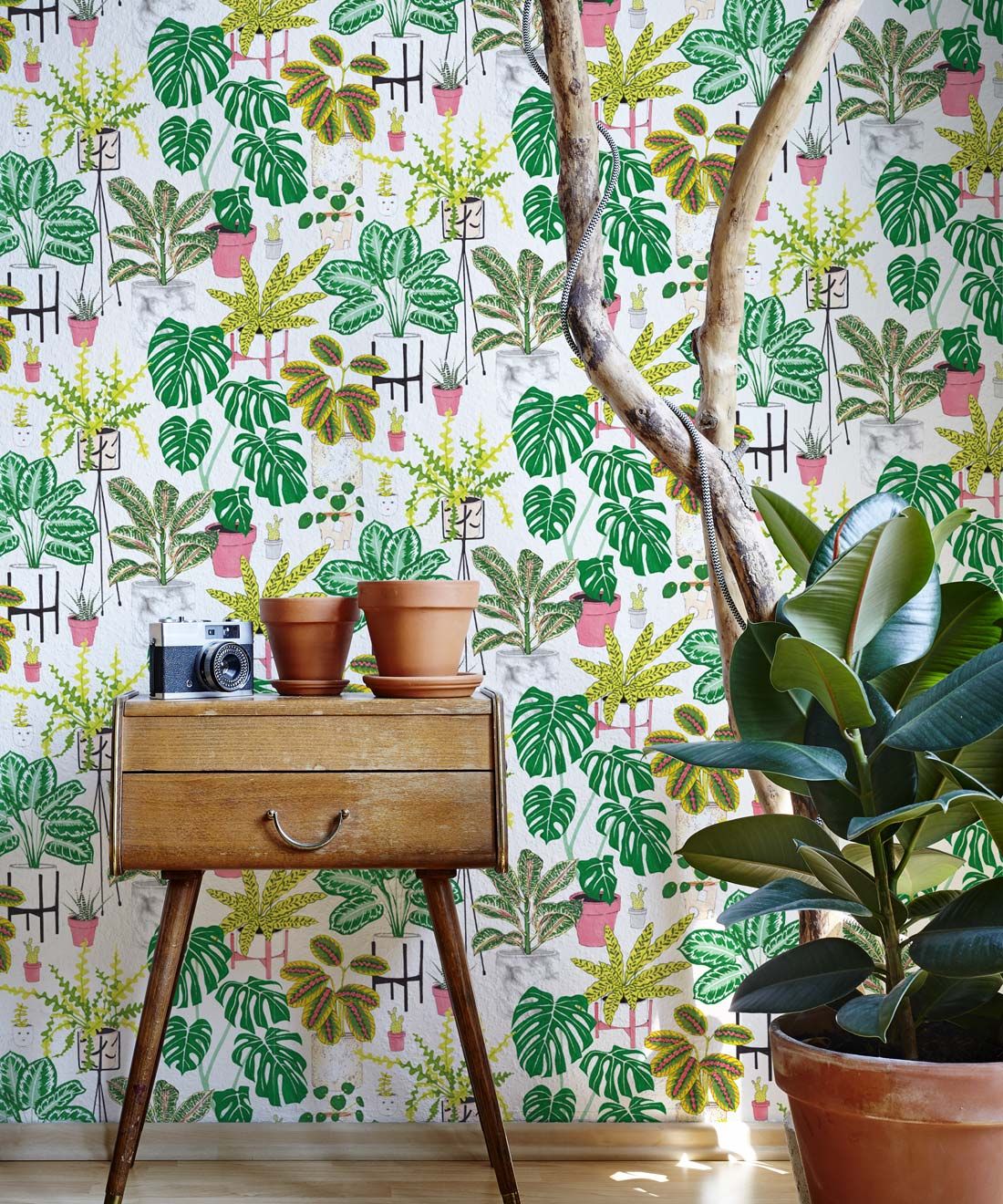 House Plants • Bright  Bold Botanical Wallpaper • Milton  King