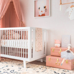 Huddy's Dots Ella Rose Insitu 2