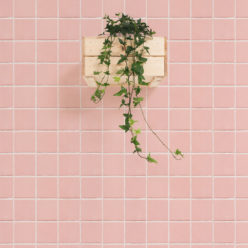 Pink Tiles wallpaper