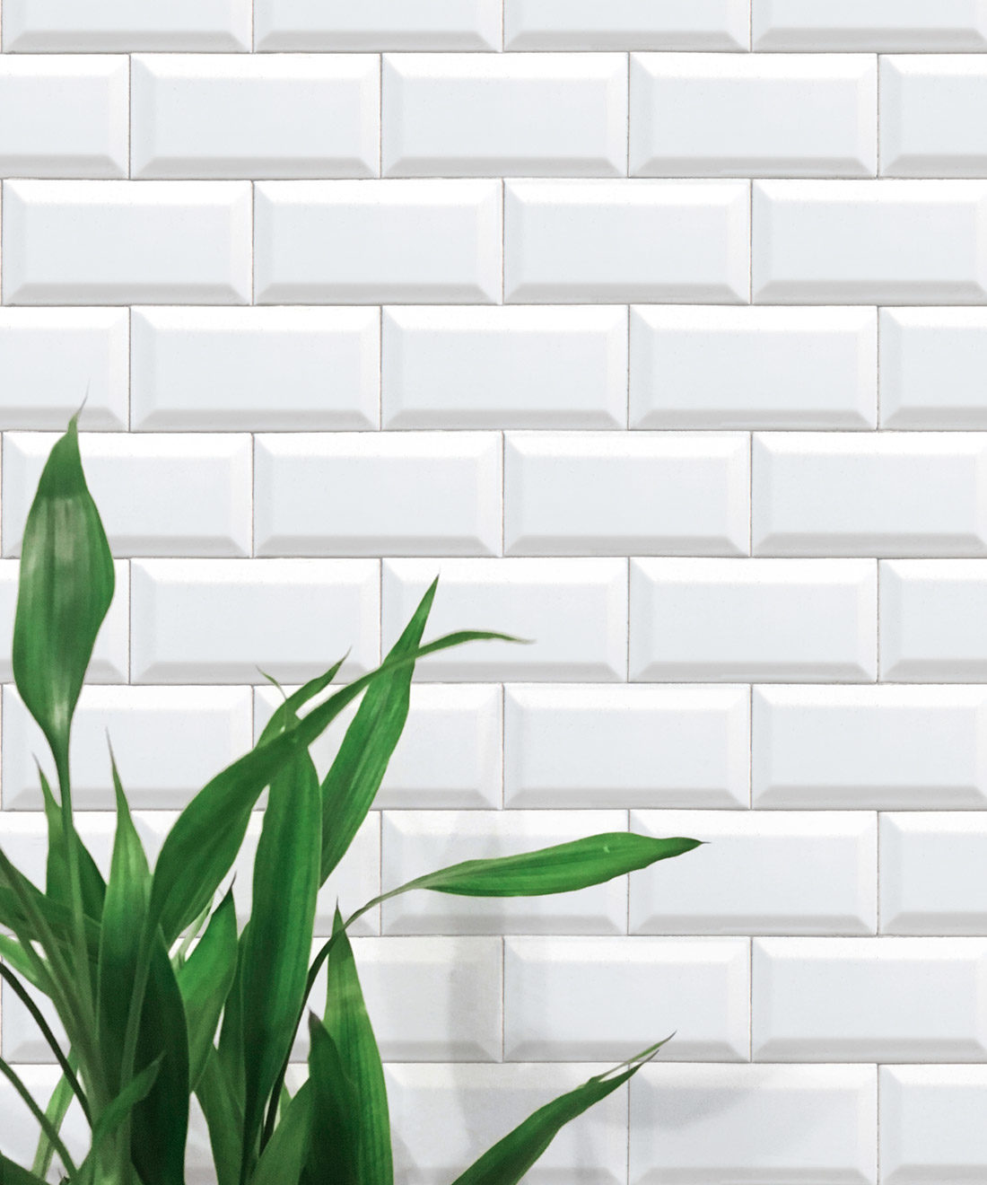 White Subway Tiles