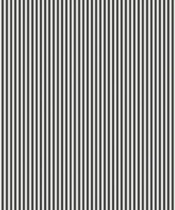 Candy Stripe Charcoal