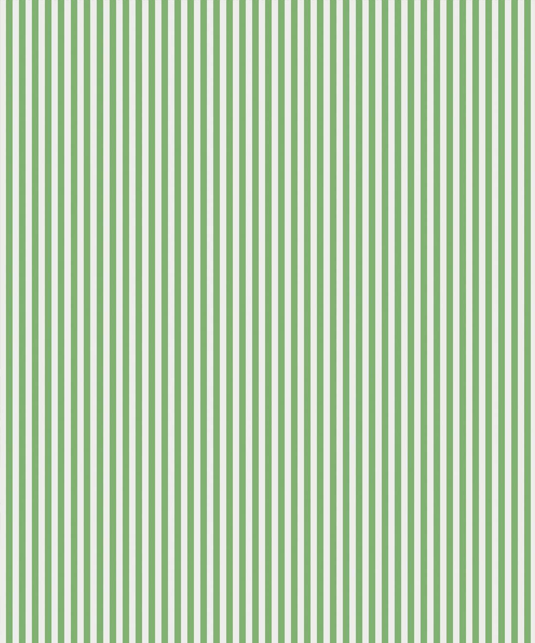 Candy Stripe Green