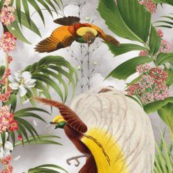Paradise Wallpaper with tropical leaves and exotic birds
