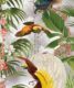 Paradise Wallpaper with tropical leaves and exotic birds