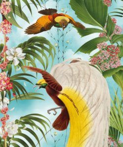 Paradise Wallpaper a Lush Botanical Design in the sky colorway