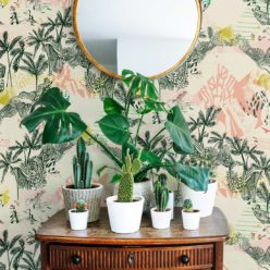 Queen Palm Wallpaper - Kitty McCall • Milton & King