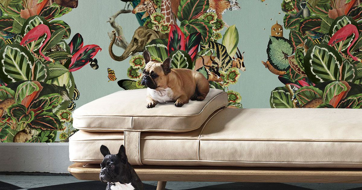 Tropical Wallpaper - Jungle Leaves, Palm Trees & More! • Milton & King