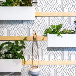 Black Lined Geometric Illusions Wallpaper • Geometric Wallpaper • Milton & King