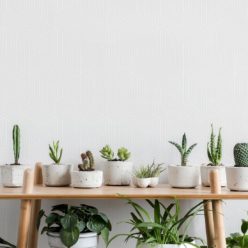 Warm Grey Geometric Illusions Wallpaper • Geometric Wallpaper • Milton & King