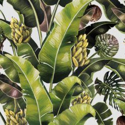 Kingdom Palm Day • Tropical Leaf Wallpaper • Milton & King