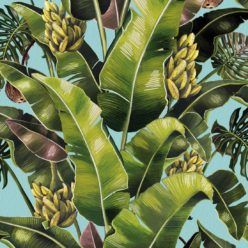 Kingdom Palm Sky • Tropical Leaf Wallpaper • Milton & King