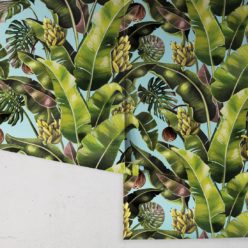 Kingdom Palm Sky • Tropical Leaf Wallpaper • Milton & King