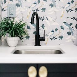 Birds of Paradise Wallpaper • Milton & King