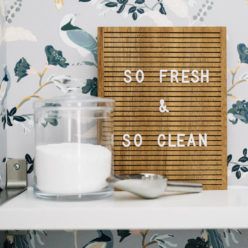 Birds of Paradise Wallpaper • Milton & King