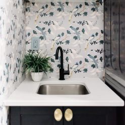 Birds of Paradise Wallpaper • Milton & King