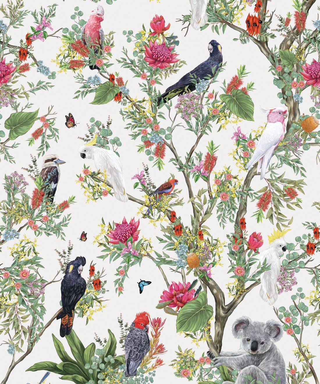 Australia Wallpaper • Cockatoos, Koalas, Parrots, Finches • Milton & King USA • Canvas Wallpaper Swatch