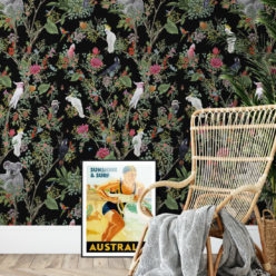Australia Wallpaper • Cockatoos, Koalas, Parrots, Finches • Milton & King USA • Black Wallpaper Insitu