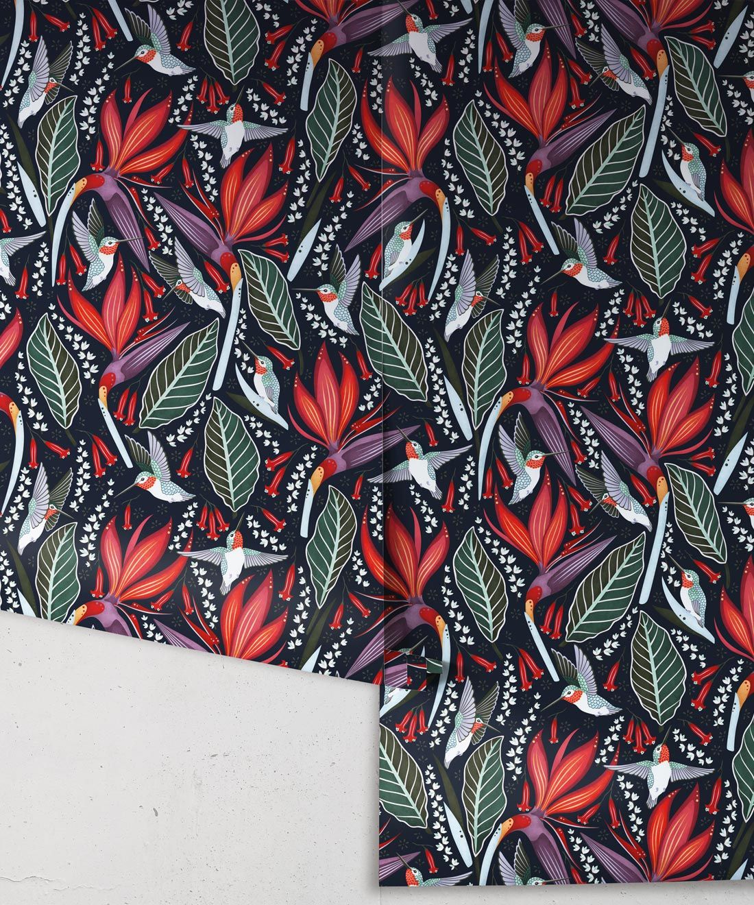 Hummingbird Wallpaper • Birds Of Paradise Flower • Bird Wallpaper • Red Flowers • Black Cherry • Wallpaper Drops