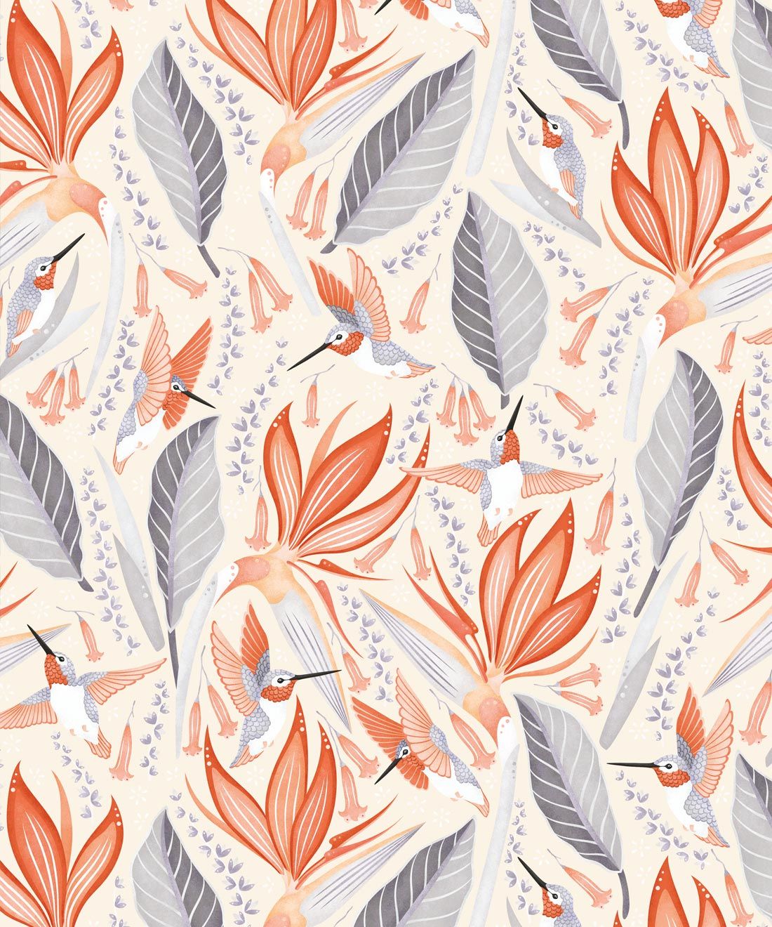 Hummingbird Wallpaper • Birds Of Paradise Flower • Bird Wallpaper