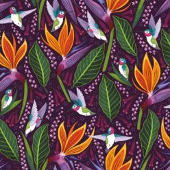 Hummingbird Wallpaper • Birds Of Paradise Flower • Bird Wallpaper • Purple Wallpaper