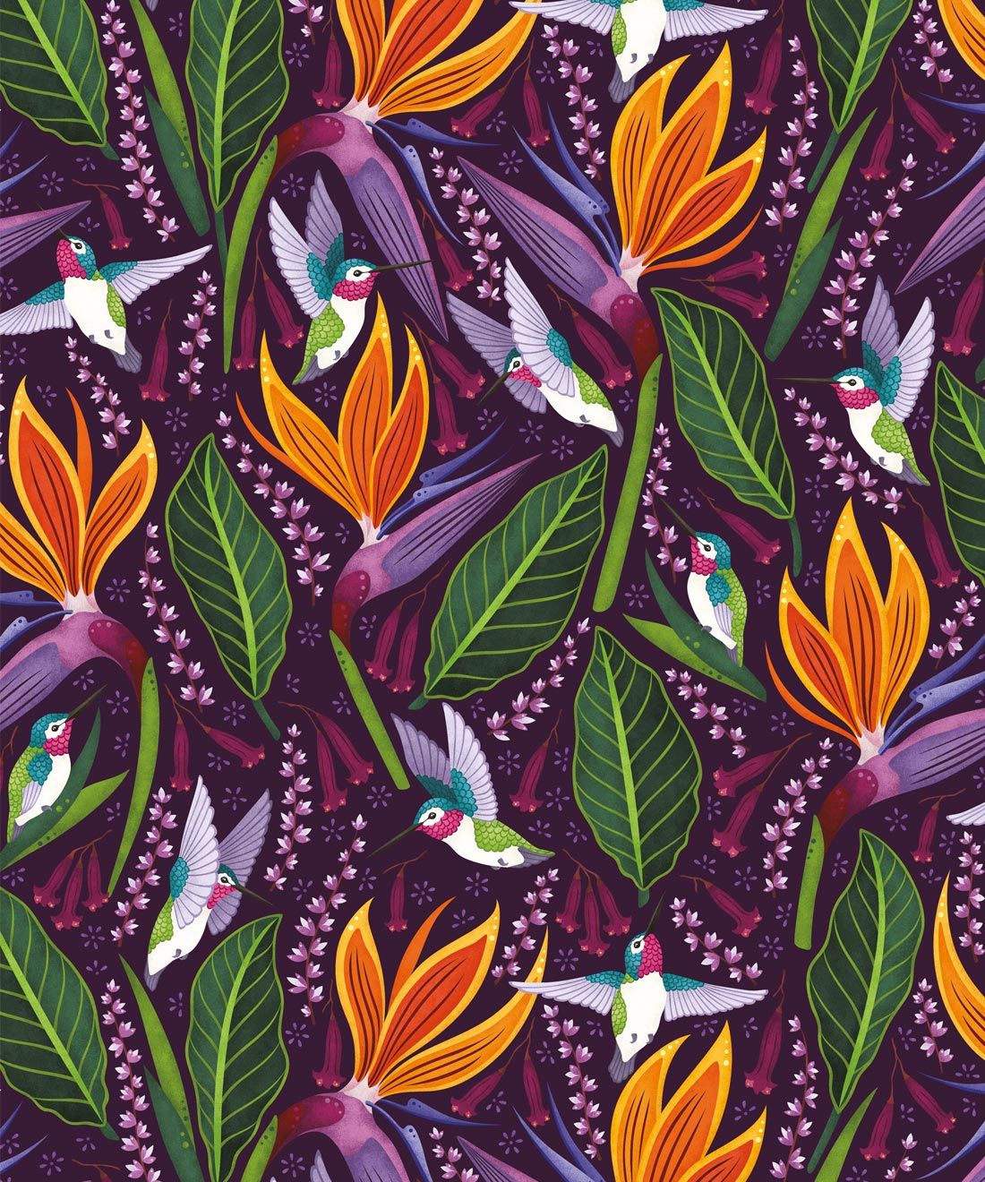 Hummingbird Wallpaper • Birds Of Paradise Flower • Bird Wallpaper • Purple Wallpaper