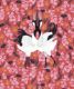 Japanese Cranes Wallpaper • Bird Wallpaper • Red Wallpaper