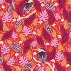 Kingfisher Wallpaper • Bird Wallpaper • Red Wallpaper