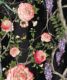 Empress Wallpaper • Romantic Wallpaper • Floral Wallpaper • Chinoiserie Wallpaper * Black color wallpaper swatch • Night