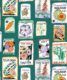 Seed Packets Wallpaper featuring watermelon, carrot, beet, beans, poppy, daisy • Teal • swatch