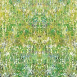 Moss
